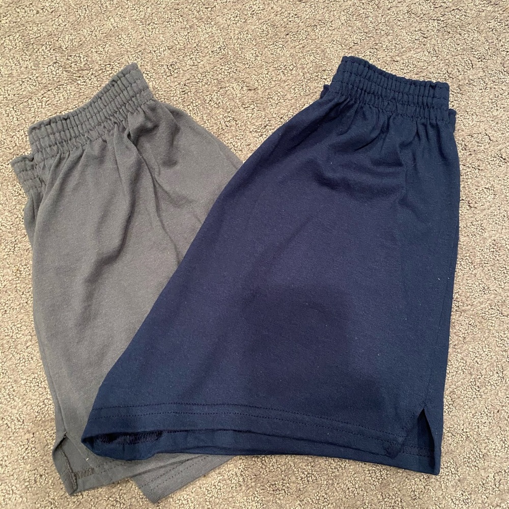 Navy and Dark Gray Soffe Shorts
